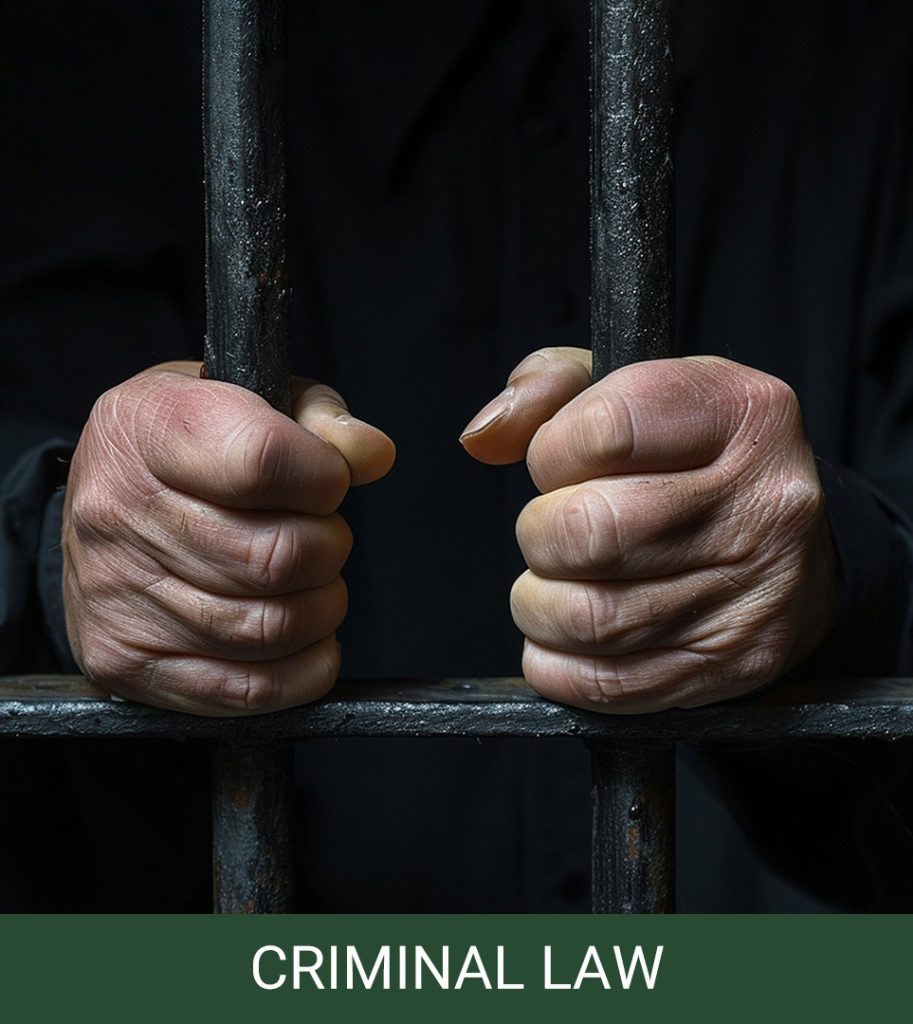 Criminal Law small